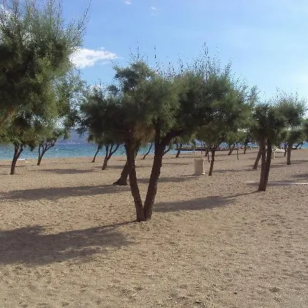 Sladojevic 아파트 오미스